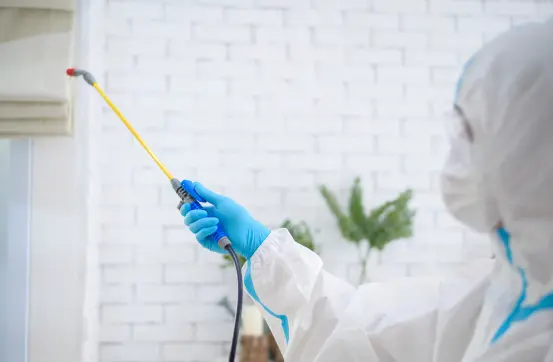 legend pest control services dubai 1