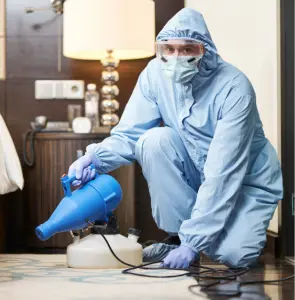 legend pest control services dubai 2