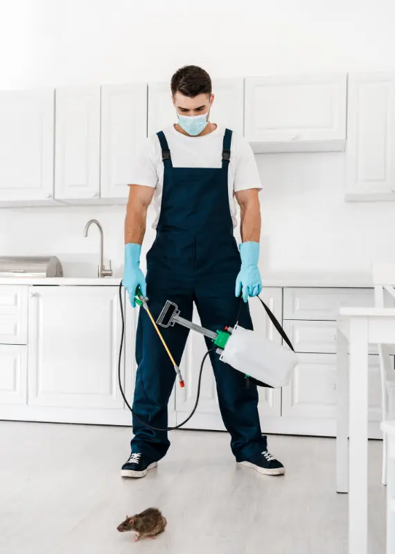 legend pest control services dubai 3