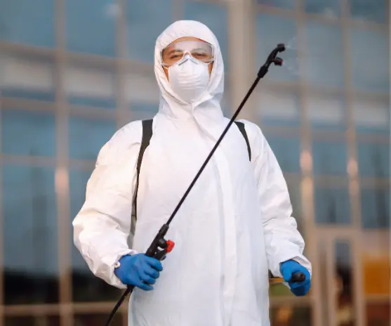 legend pest control services in dubai 13