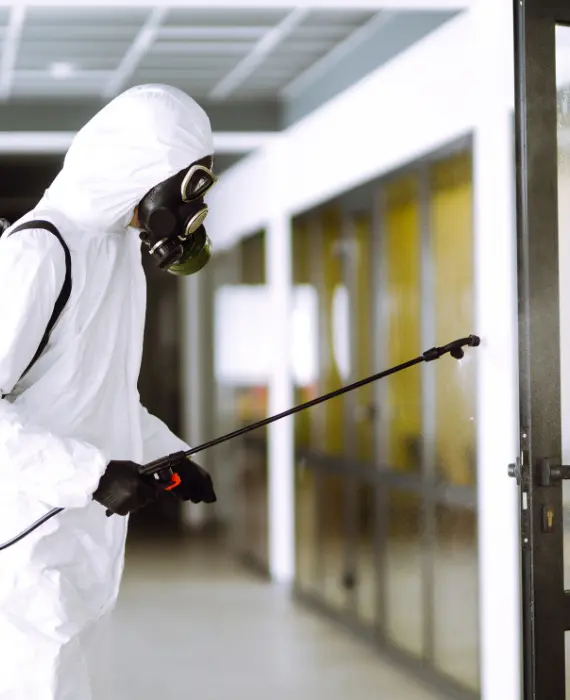legend pest control services in dubai 8